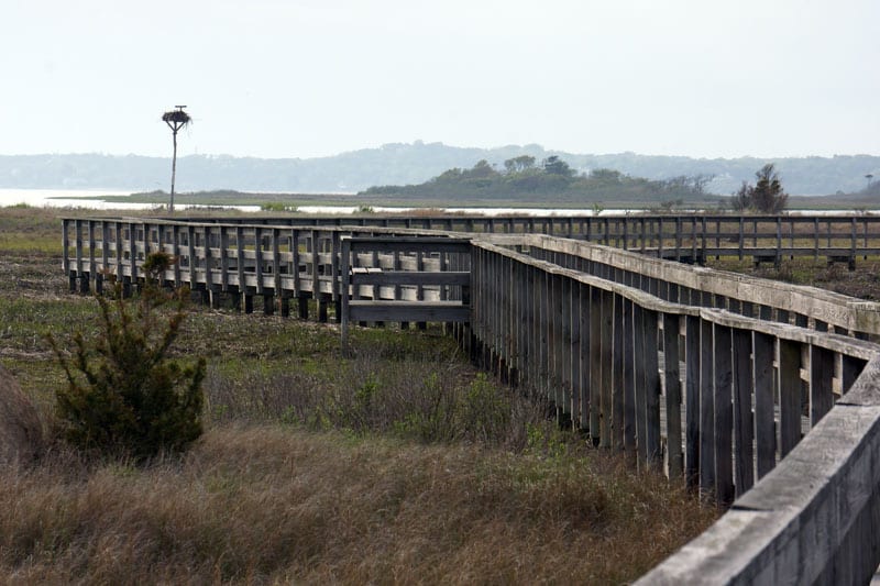 Boardwalk and Osprey nest pole on Munn Point