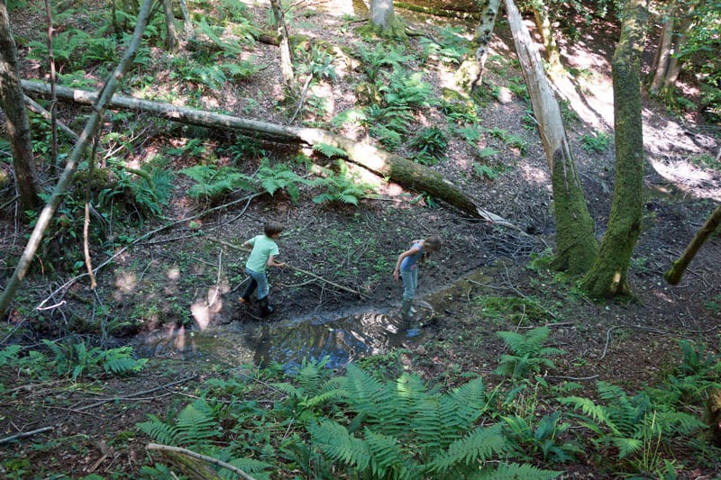 Luce Theo folowing stream in woods