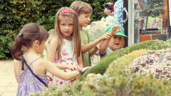 Landscaped Alpine garden and kids