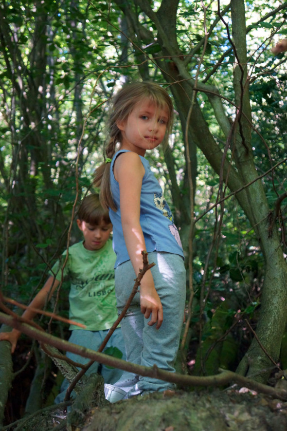 Standing on fallen trees