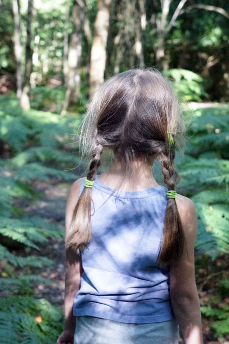 Luce entering woods