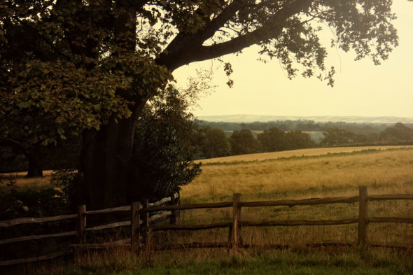 dusk landscape