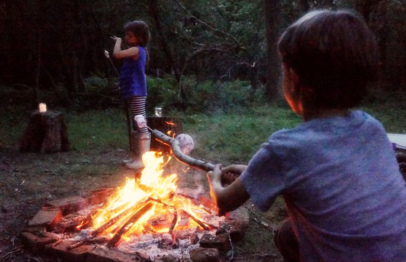 campfire dinner roasting marshmallows