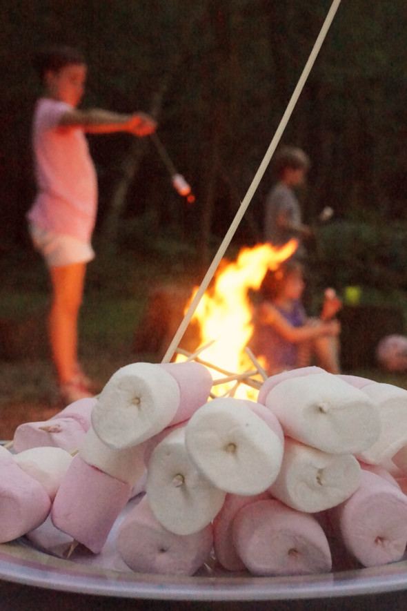 marshmallows campfire dinner