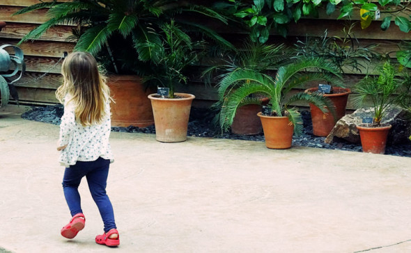 Pod running past potted plants