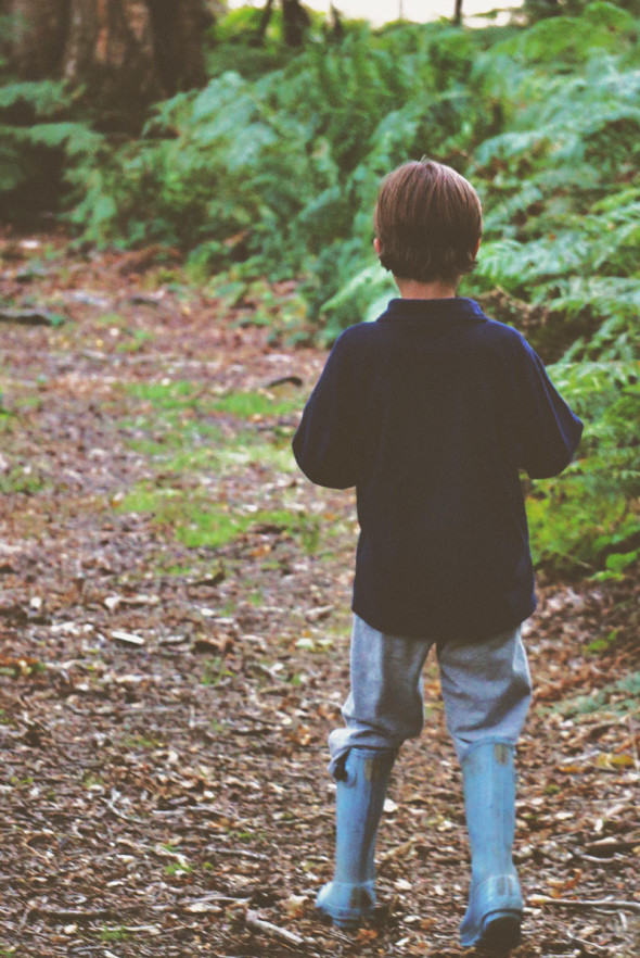 Theo wood path