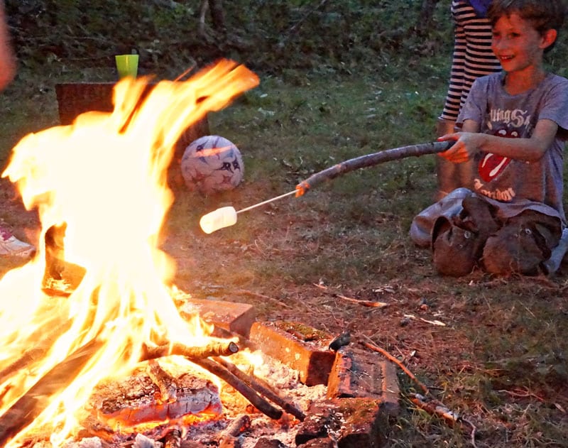 marshmallows roasting campfire