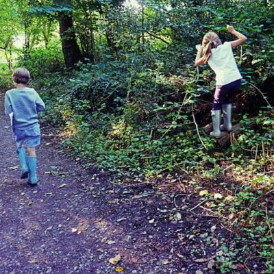 Ardingly Reservoir with kids – Roll, Spot, Pick adventure