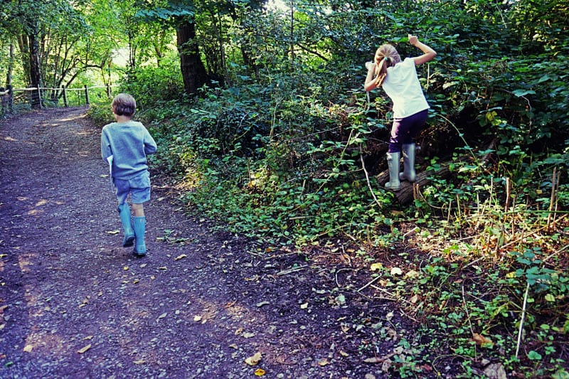 Blackberry picking Ardingly Reservoir Trail