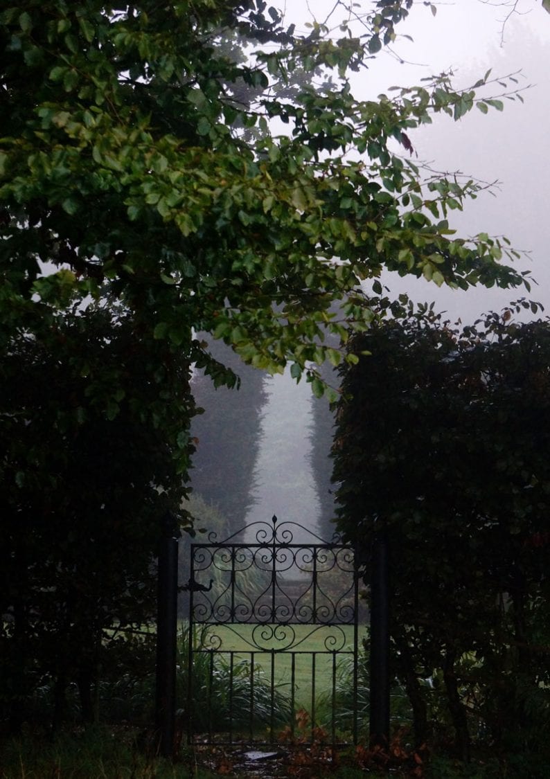 gate in mist