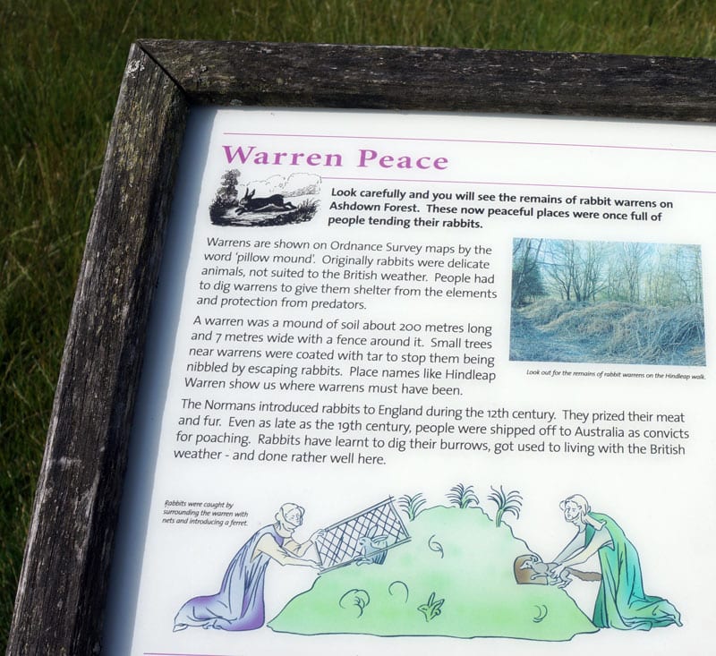 Warren Peace Hindleap Walk Ashdown Forest sign