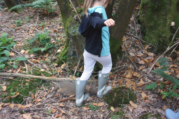 luce stomping not hunting mushrooms