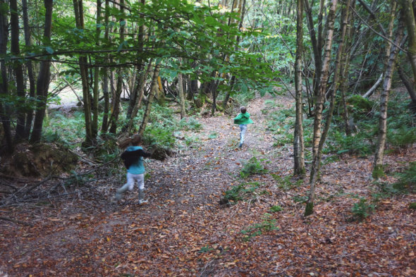 kids hunting mushrooms in woods