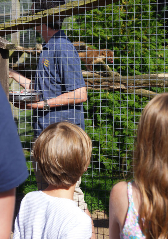 British Wildlife Centre keeper