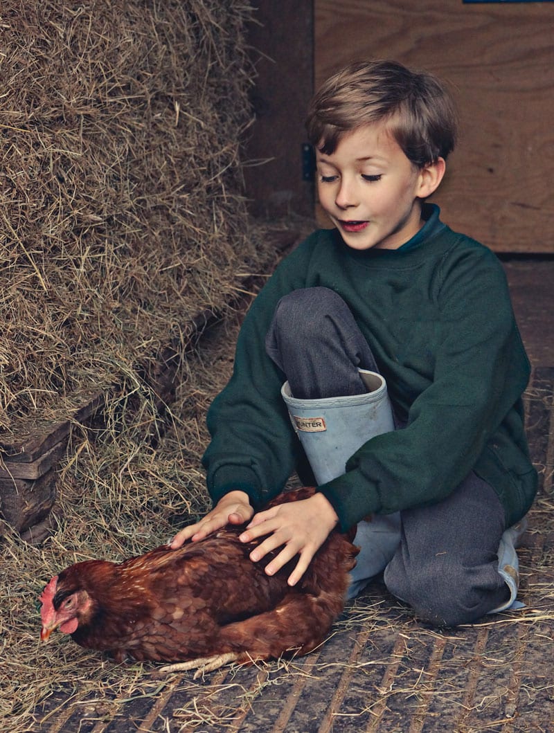 Theo and chicken friend