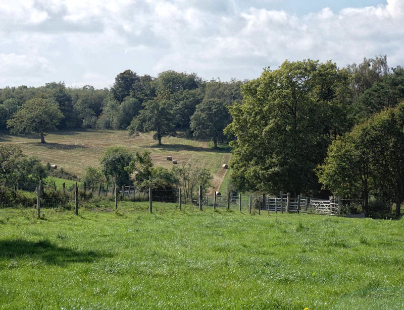 landscape biodynamic farm