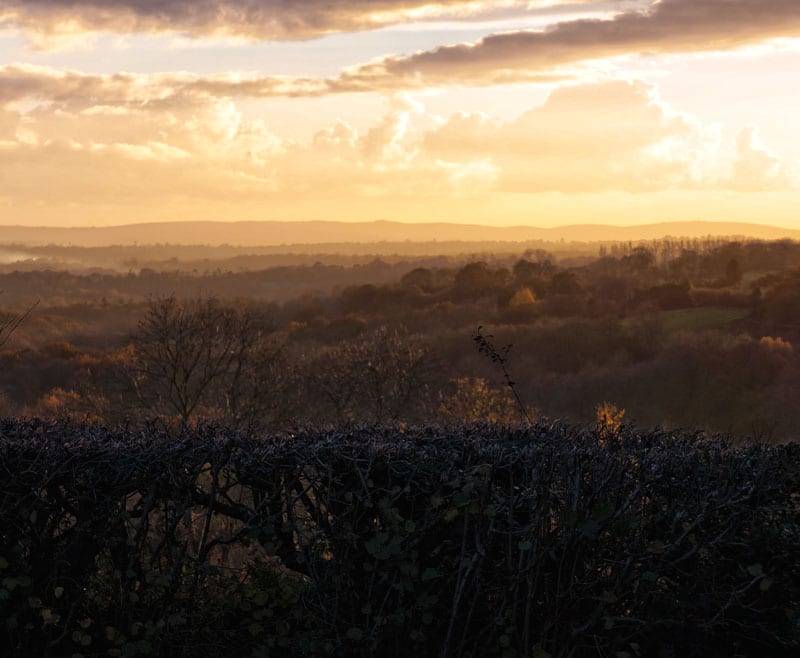 landscape south downs