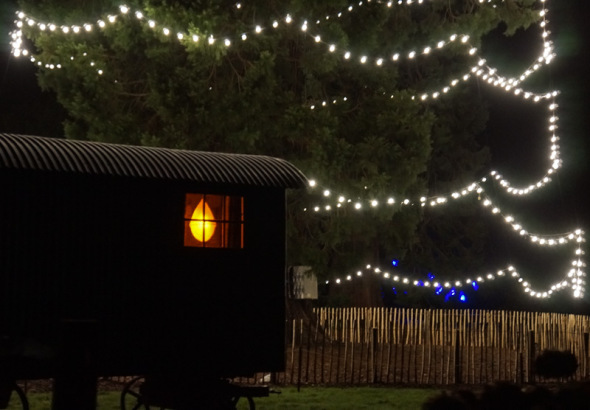 caravan christmas tree Wakehurst