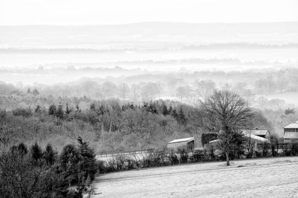 frost mist landscape sussex