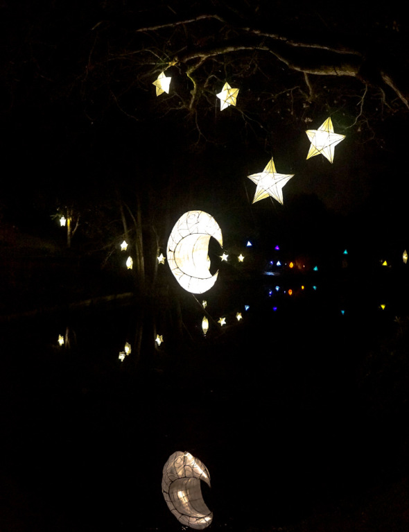 moon stars Glow Wild festival Wakehurst