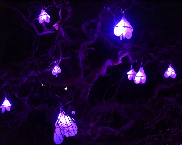 lanterns in tree Glow Wild Wakehurst