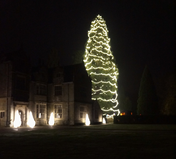 Wakehurst Place Christmas tree