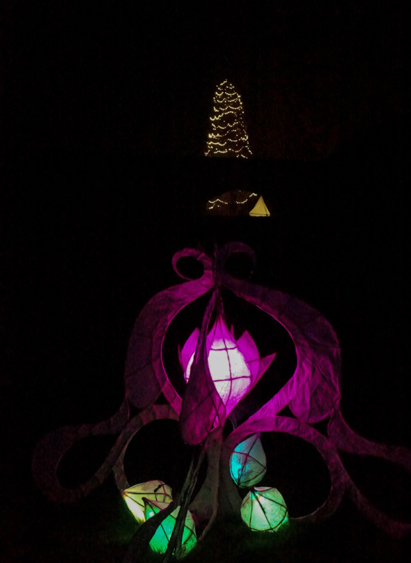 Lanterns and Christmas tree Wakehurst