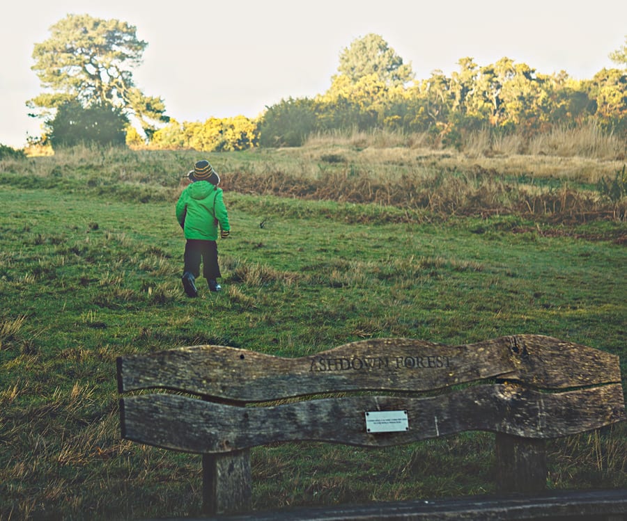 Ashdown Forest Winnie-the-pooh walk