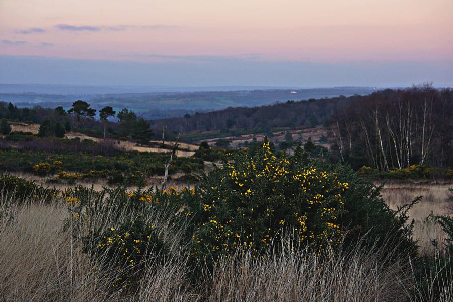 sunset Ashdown Forest valley