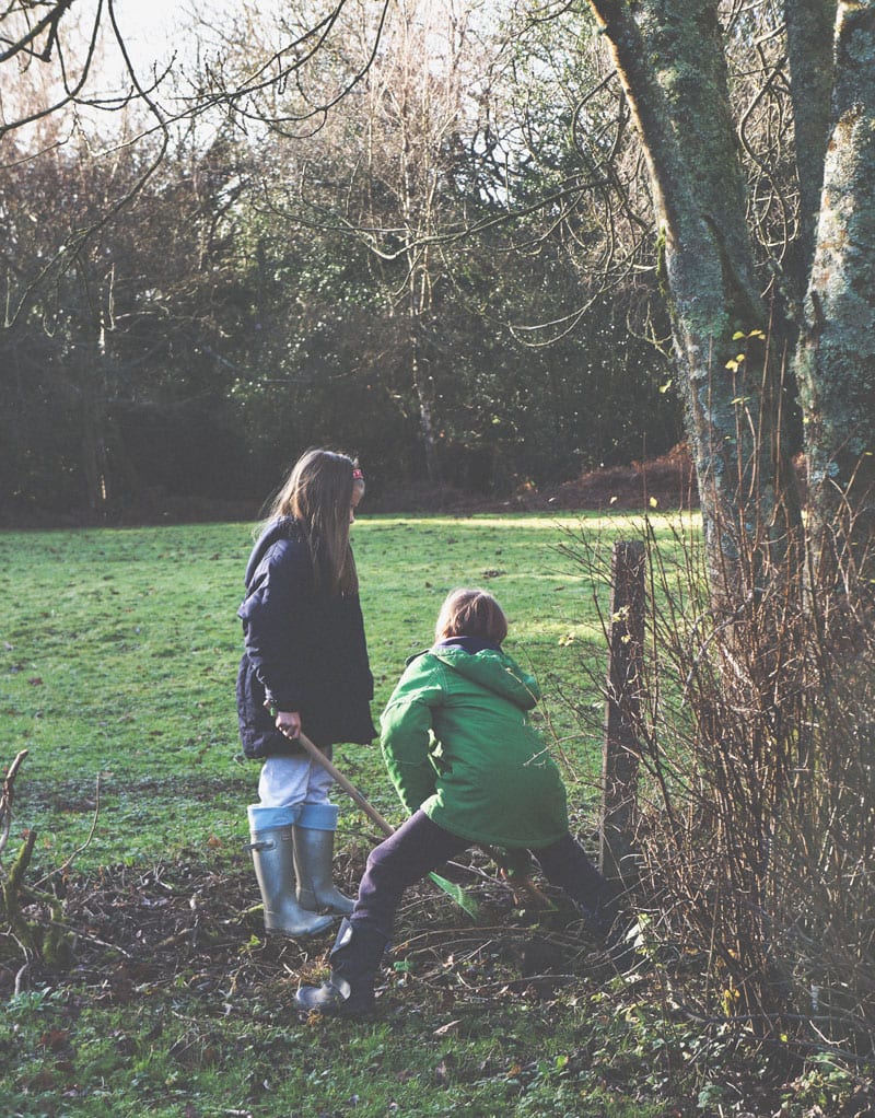 digging hole birdfeeder platform