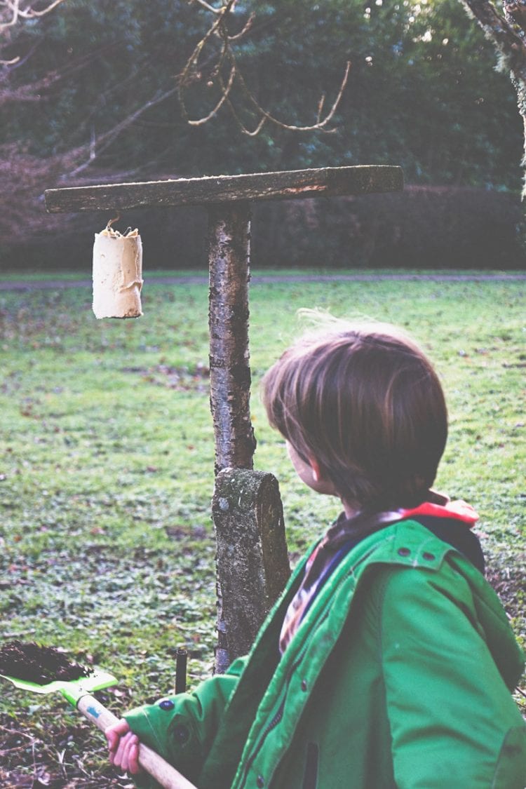 Theo looking at wild bird peanut cake