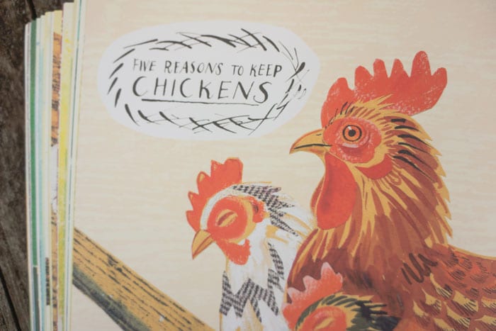 Five Reasons to Keep Chickens