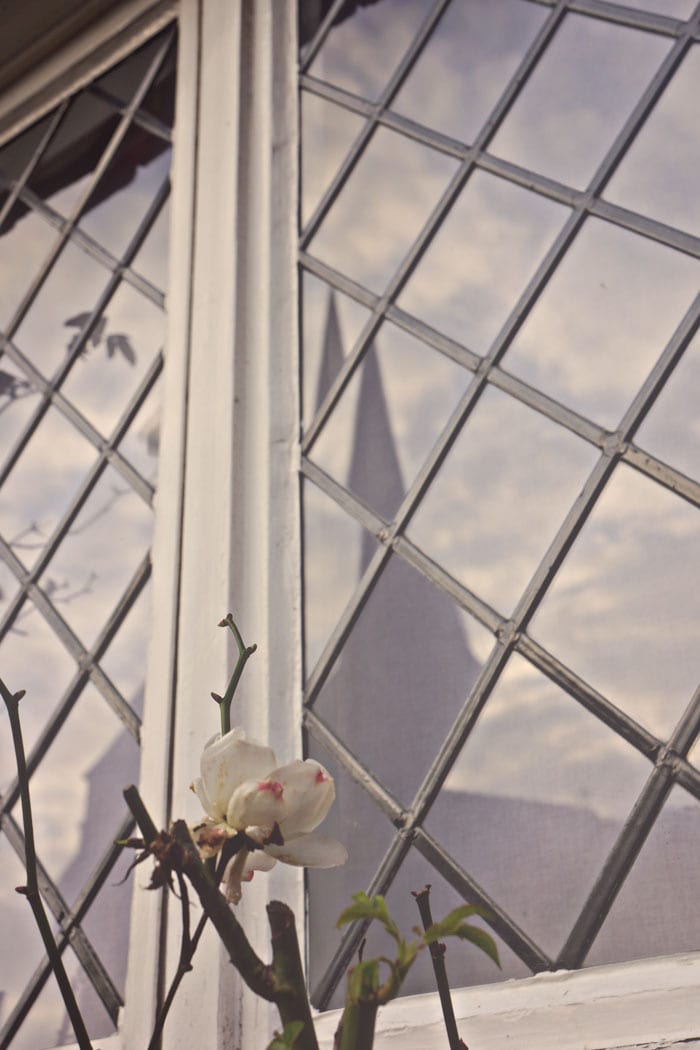rose and window reflecting church spire