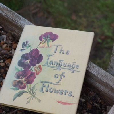 The Language of Flowers book