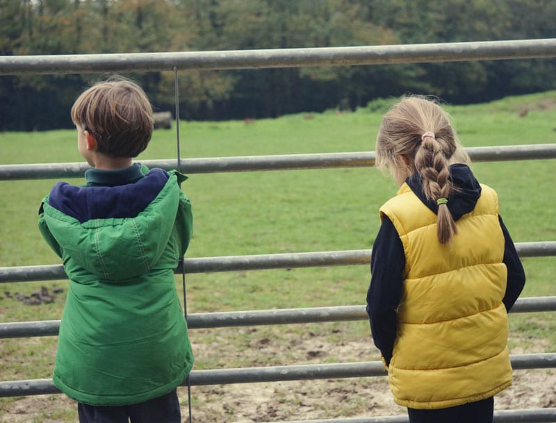 Luce Theo watching pheasants