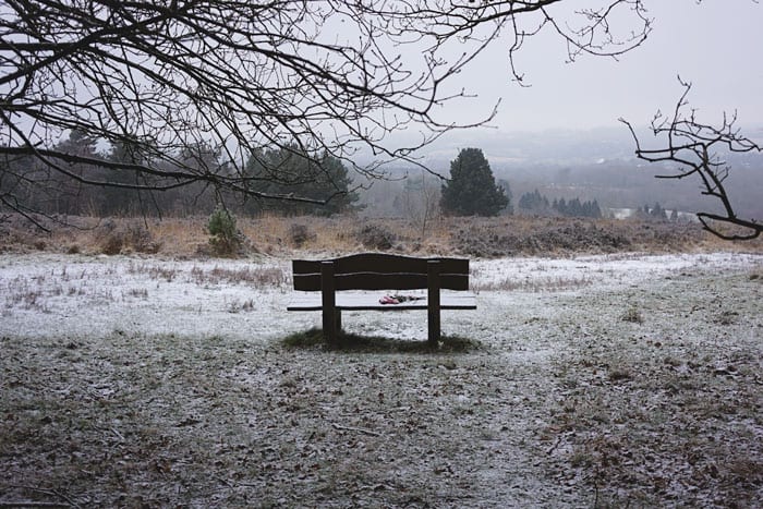 Bench with view in Ashdown Forest