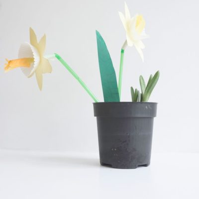 How to make Spring paper Daffodlils