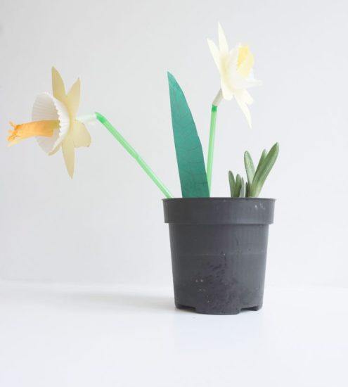 How to make Spring paper Daffodlils