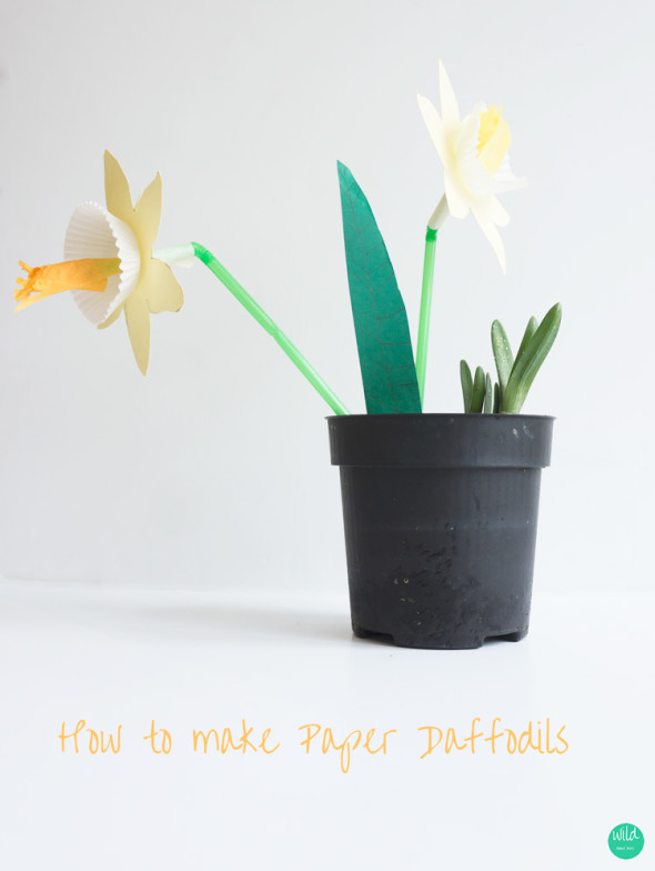 How to make paper Daffodils
