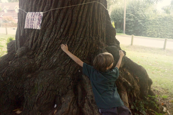 Theo hugging an Evelyn Sweet Chestnut