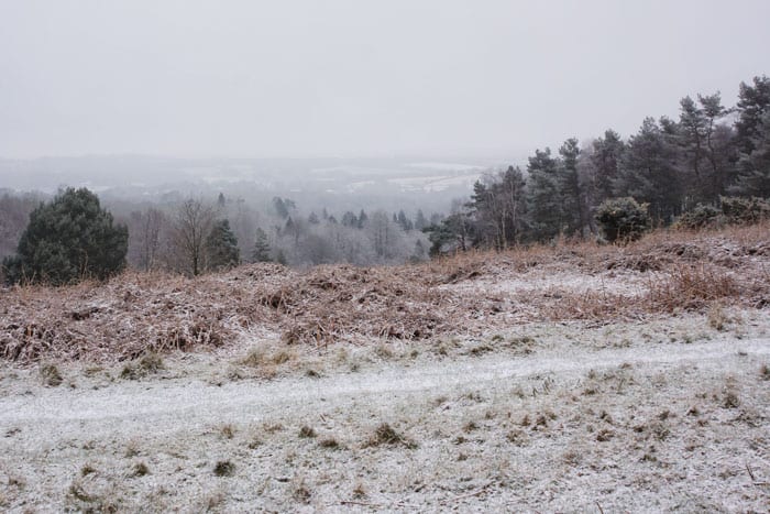 View from Wych Cross Ashdown Forest