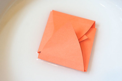 Paper flower envelope