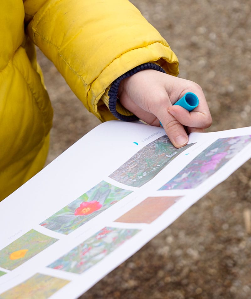 Late winter spotter sheet nature awakes