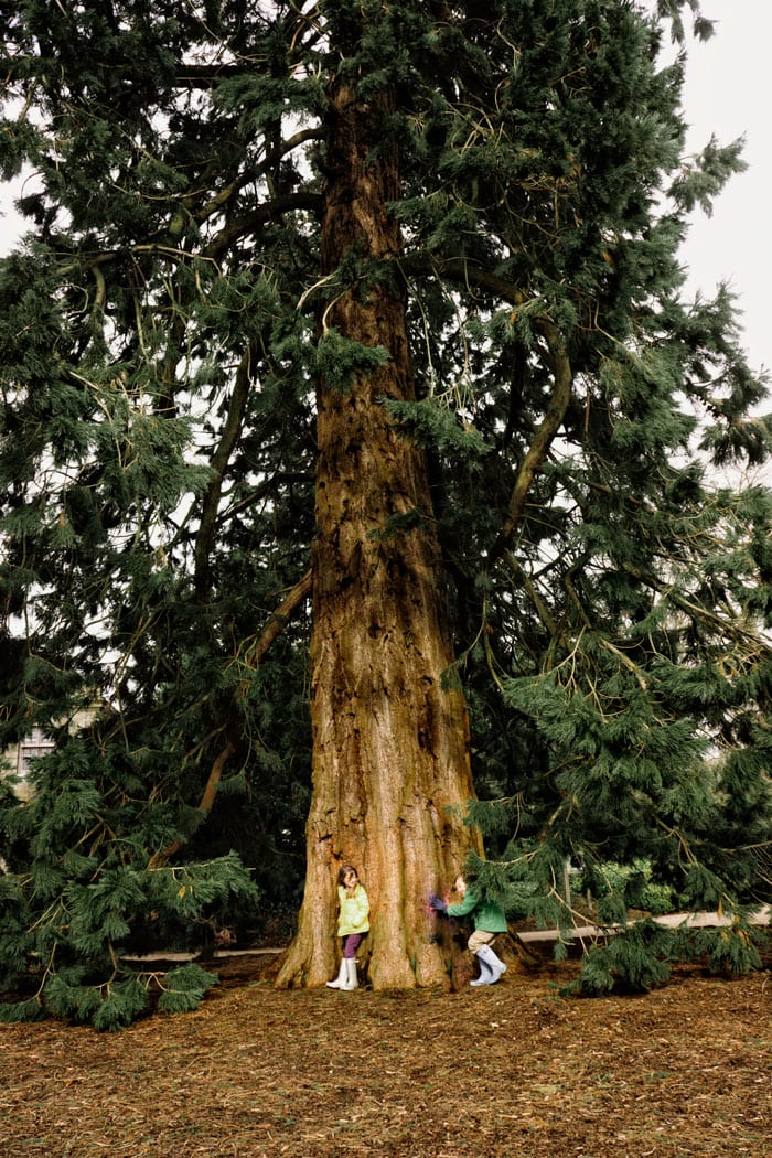 Luce and Theo at base of giant sequoia at Wakehurst