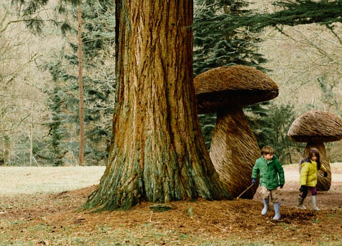 Mushroom sculptures next to Giant Sequoia