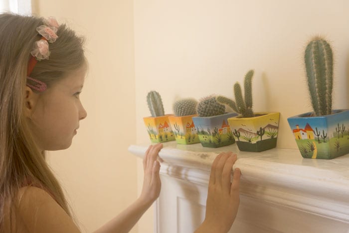 Luce looking at row of mini cactii