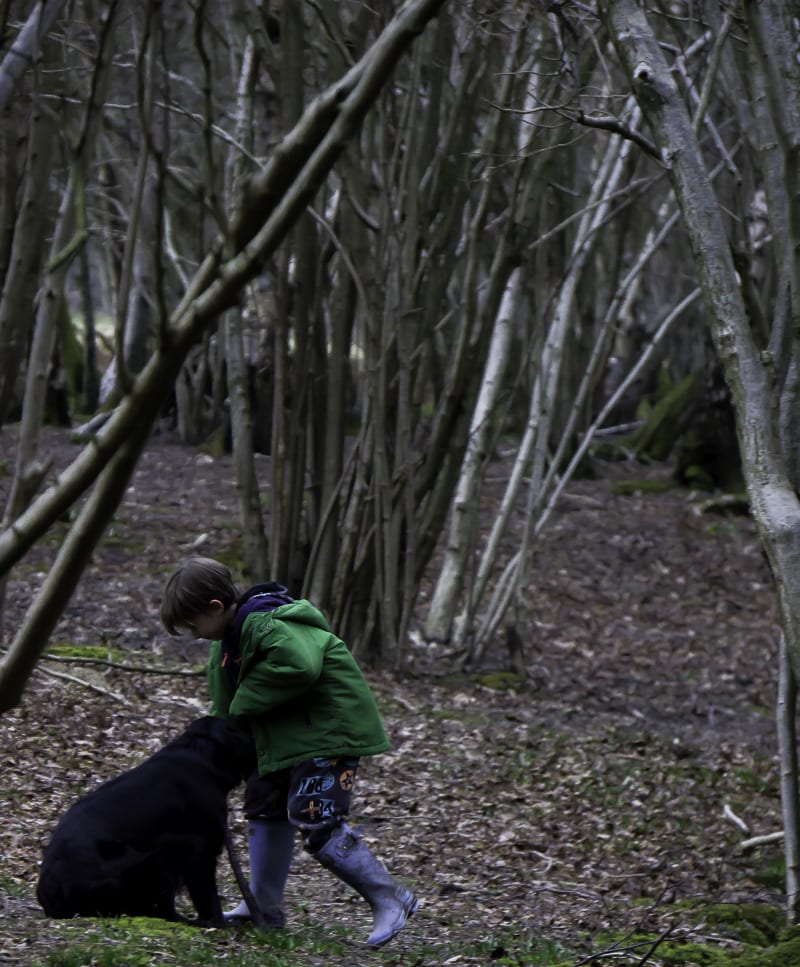 Theo and dog playing in woods