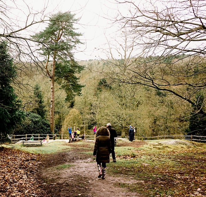 Kids climbing area at Wakehurst