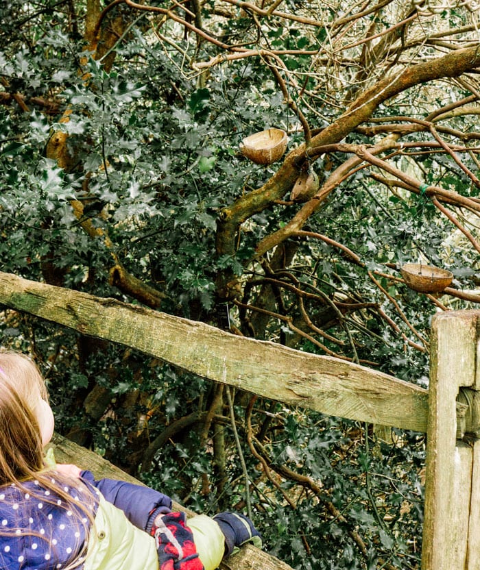 Looking at bird tree at Wakehurst