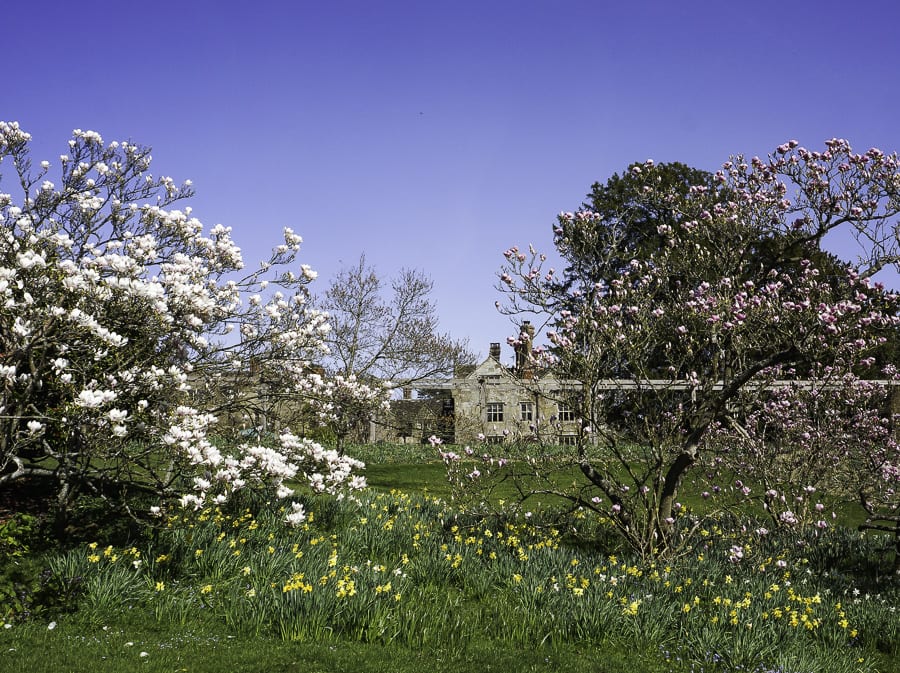 Gravetye Manor and flowers